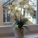 Avanti * Budapest