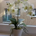 Avanti Apartamento *