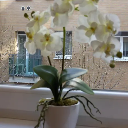 Avanti Apartment *