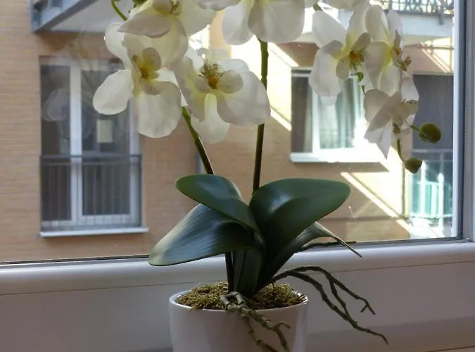 Avanti * 布达佩斯